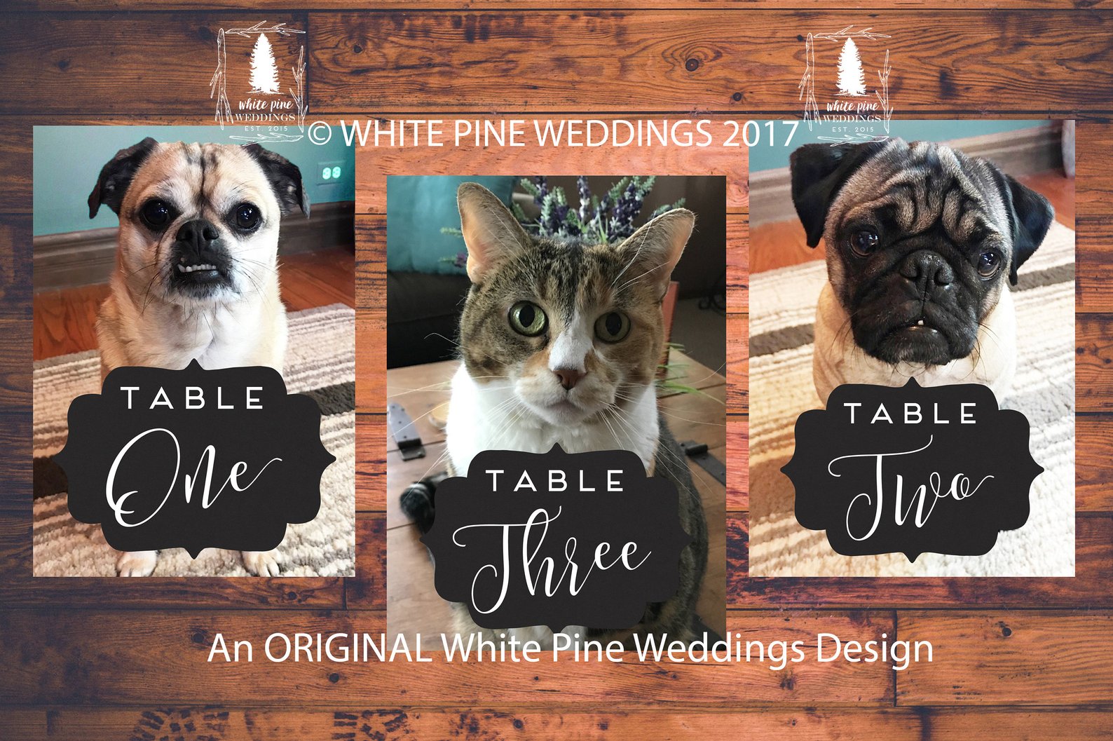   White Pine Weddings  on Etsy makes adorable pet table numbers for weddings!! 