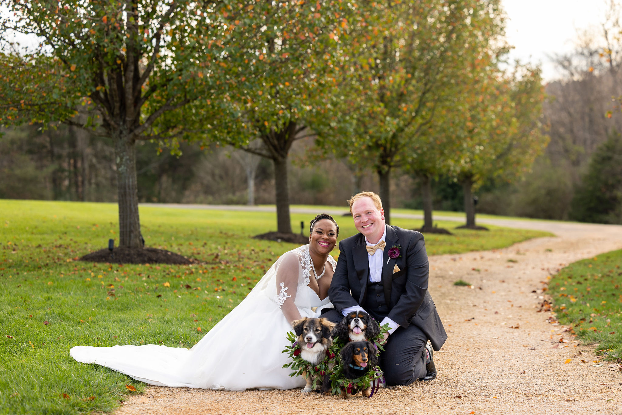 bride and groom take picture woth dogs on wedding day